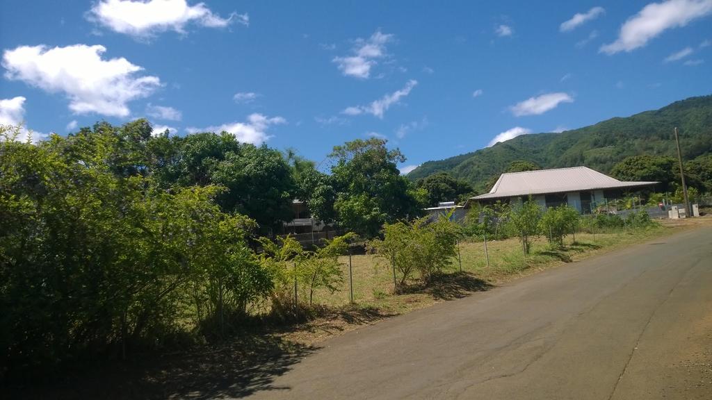 Les Bungalows Du Mont-Auban Sainte-Clotilde Esterno foto