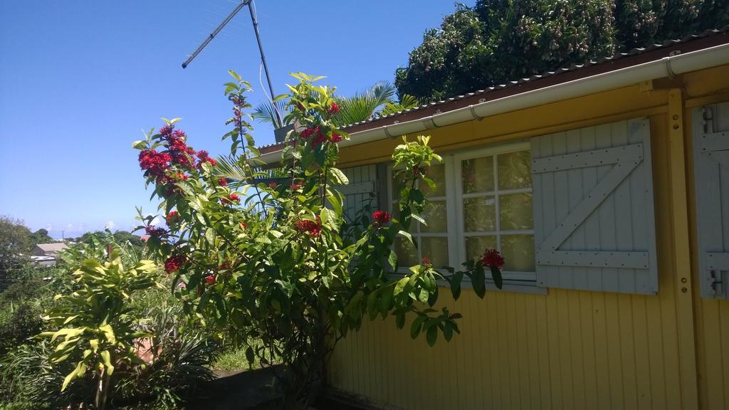 Les Bungalows Du Mont-Auban Sainte-Clotilde Esterno foto