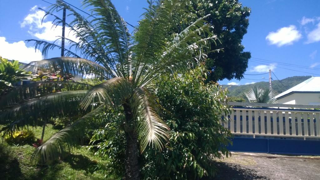Les Bungalows Du Mont-Auban Sainte-Clotilde Esterno foto